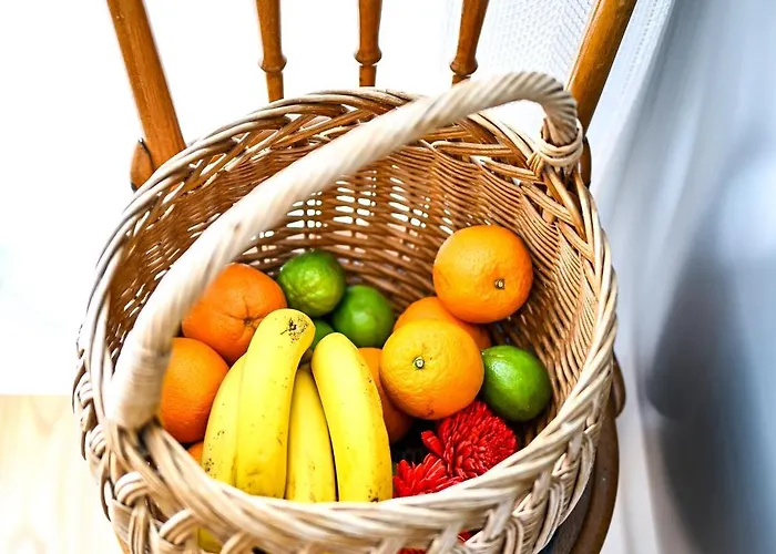 The Architects 度假居