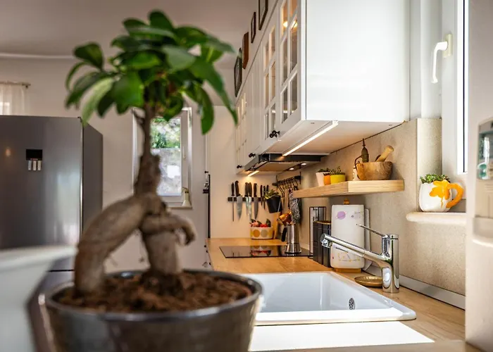 度假居 The Architects