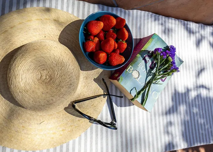 The Architects 杜布罗夫尼克